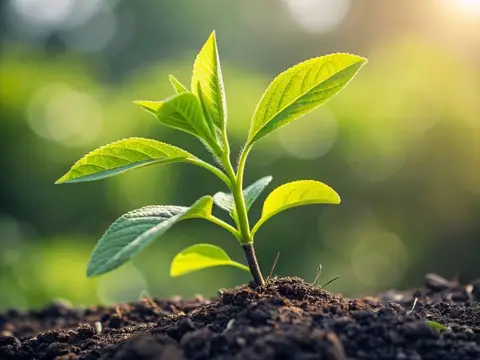 Organic Gardening Basics: Grow Healthy Plants Without Chemicals